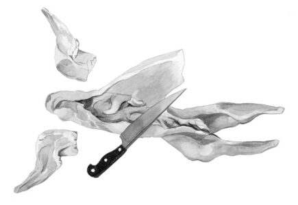 black and white illustration of a knife cutting through the belly of a rabbit carcass